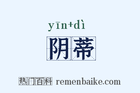 阴蒂是什么意思的图片